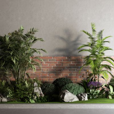 中式棕榈树 景观树 灌木 草地