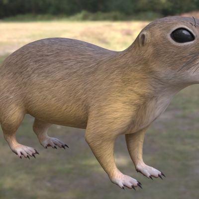 欧洲地松鼠动物生物