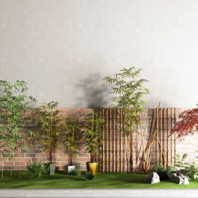 中式景观树 竹子