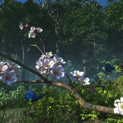 现代森林公园场景