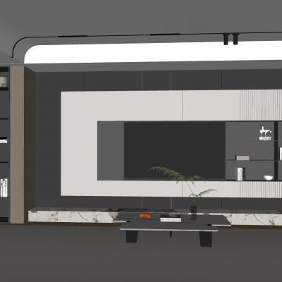 木饰面电视背景墙 磁吸轨道灯地毯 置物柜大理石茶几