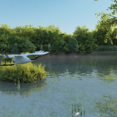 现代湿地公园景观