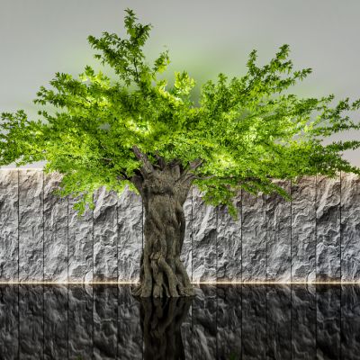 室内景观树3D模型