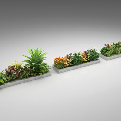 花坛 花池 花草 植物 景观 绿化 花卉 花瓶 摆件3D模型