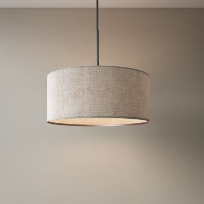 West Elm 现代吊灯
