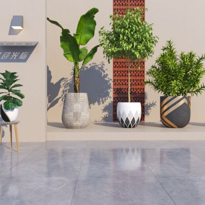 现代绿植盆栽 植物组合