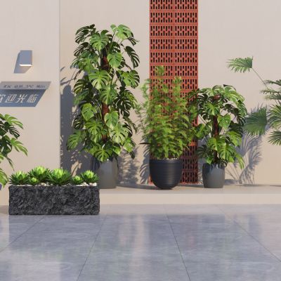 现代绿植盆栽 