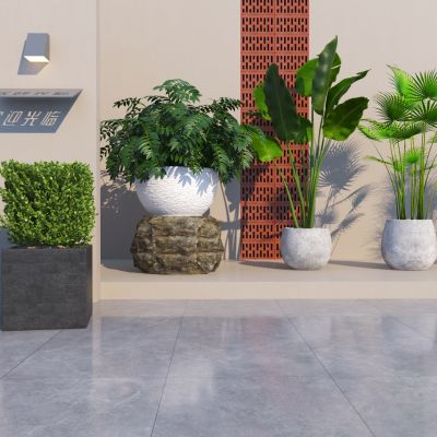 现代绿植盆栽 植物组合
