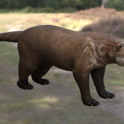 蒙古裂肉兽动物生物