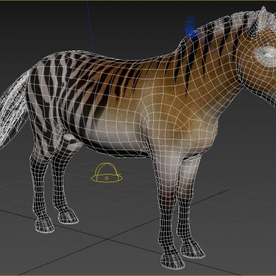 哈格曼马动物生物