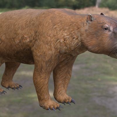 双门齿兽巨型袋鼠动物生物