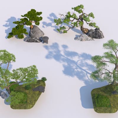 中式迎客松罗汉松 