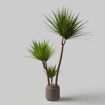 现代落地花盆栽盆景