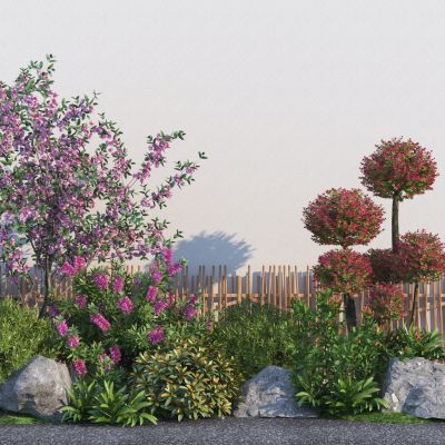 现代景观灌木植物组合