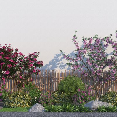 现代景观灌木植物组合