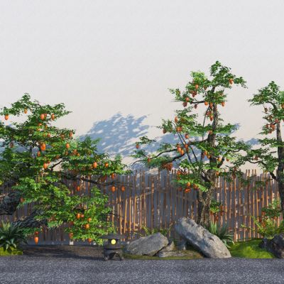 现代乔木 庭院老桩果树