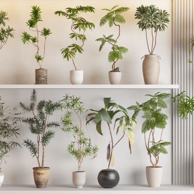 现代侘寂风绿植盆栽组合