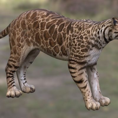 阿芬短剑剑齿虎动物生物