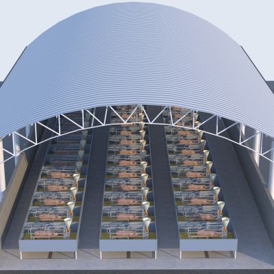 现代养猪场 猪产仔笼