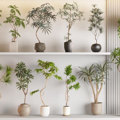 现代侘寂风绿植盆栽组合