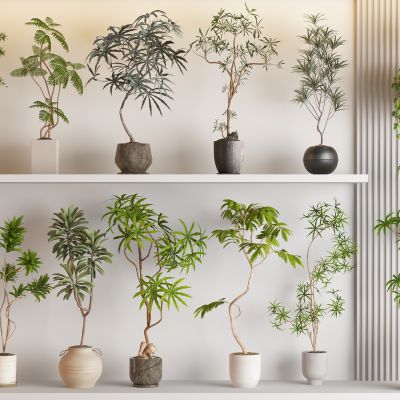 现代侘寂风绿植盆栽组合