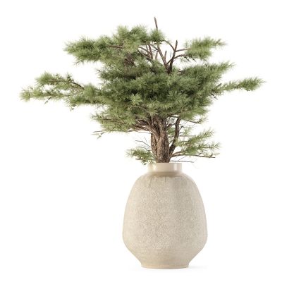 植物花束松枝3D模型