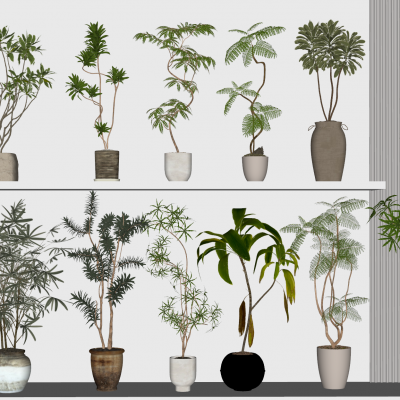 现代侘寂风绿植盆栽组合