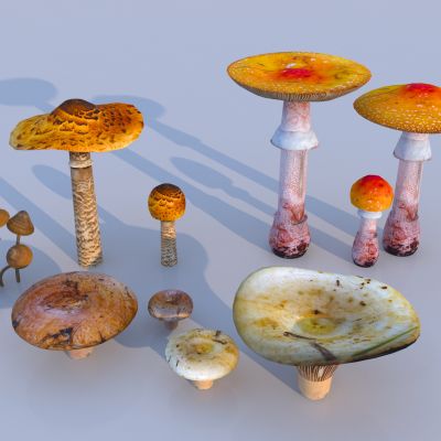 现代蘑菇菌类小品