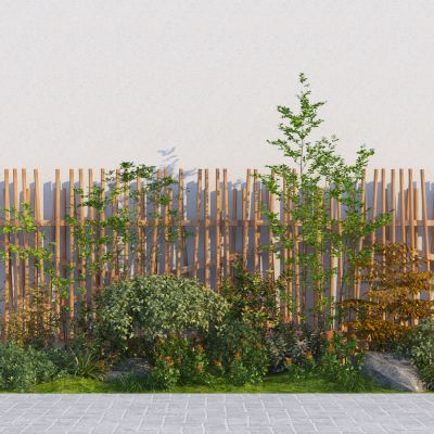 现代庭院植物组合 