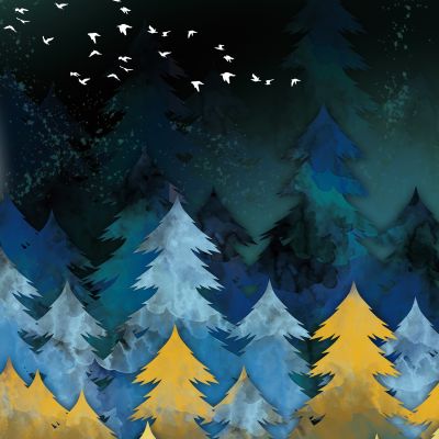 装饰画花芯挂画