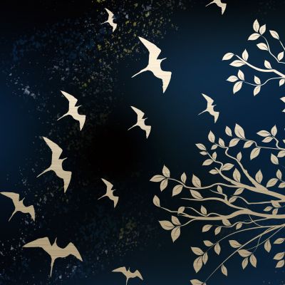 装饰画花芯挂画