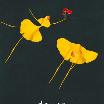 装饰画花芯挂画