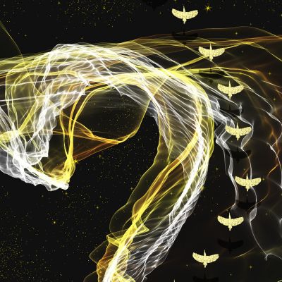 装饰画花芯挂画