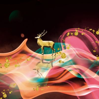 装饰画花芯挂画