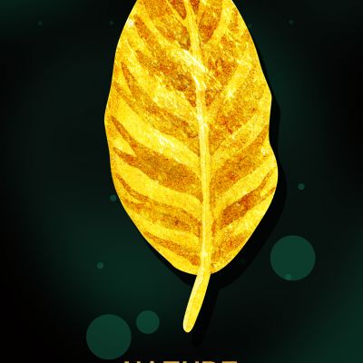 装饰画花芯挂画