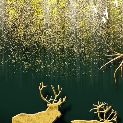 装饰画花芯挂画