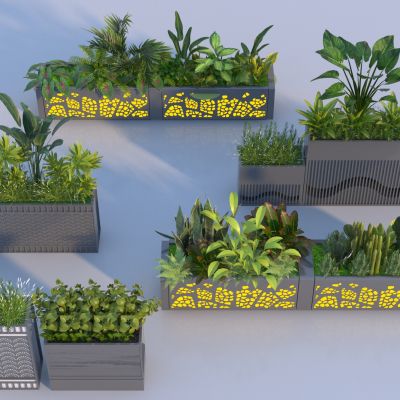现代植物组合花箱 