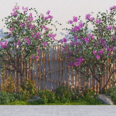 现代紫薇树  植物组合