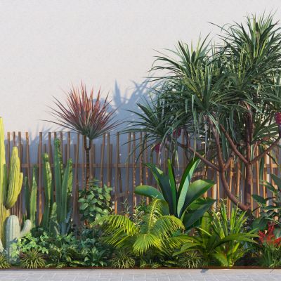 现代热带植物绿植组合 