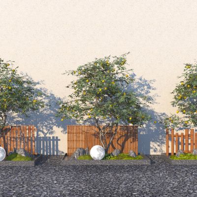 现代乔木 柠檬树