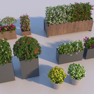 现代绿植景观花箱