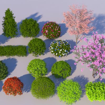 现代灌木球植物组合 