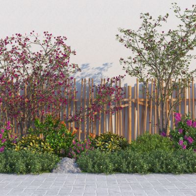 景观灌木植物组合 