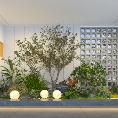 现代庭院植物组合 