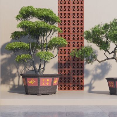 新中式松树盆栽