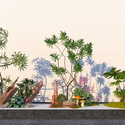 现代室内植物组合 