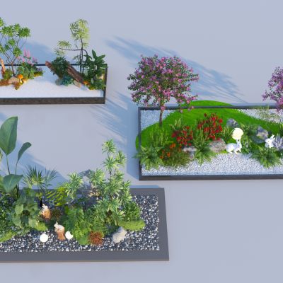 现代庭院植物组合 