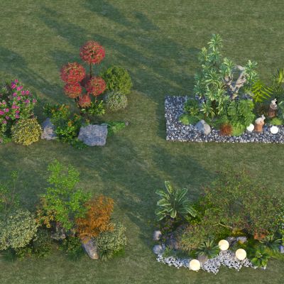 现代庭院植物组合 