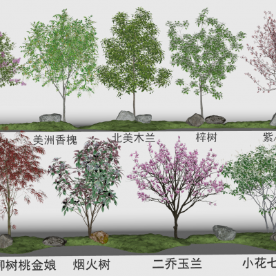 现代花树植物组合3D模型