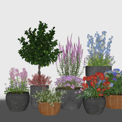  现代绿植盆栽组合